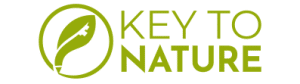 KeytoNature Logo