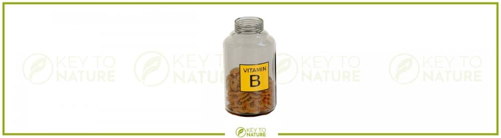 Vitamin B12 – Test, Wirkung, Anwendung & Studien