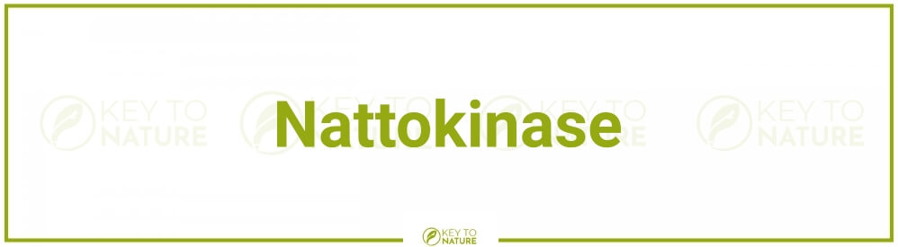 Nattokinase – was kann der natürliche Blutverdünner?